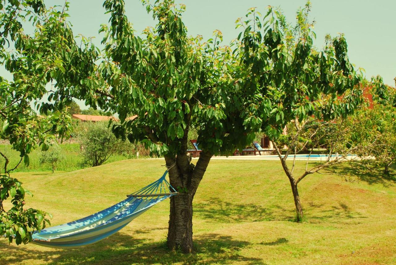 Villa Dorina Barban Dış mekan fotoğraf