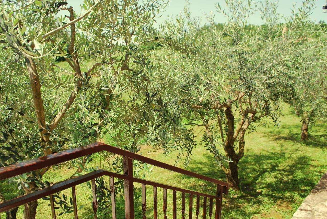 Villa Dorina Barban Dış mekan fotoğraf
