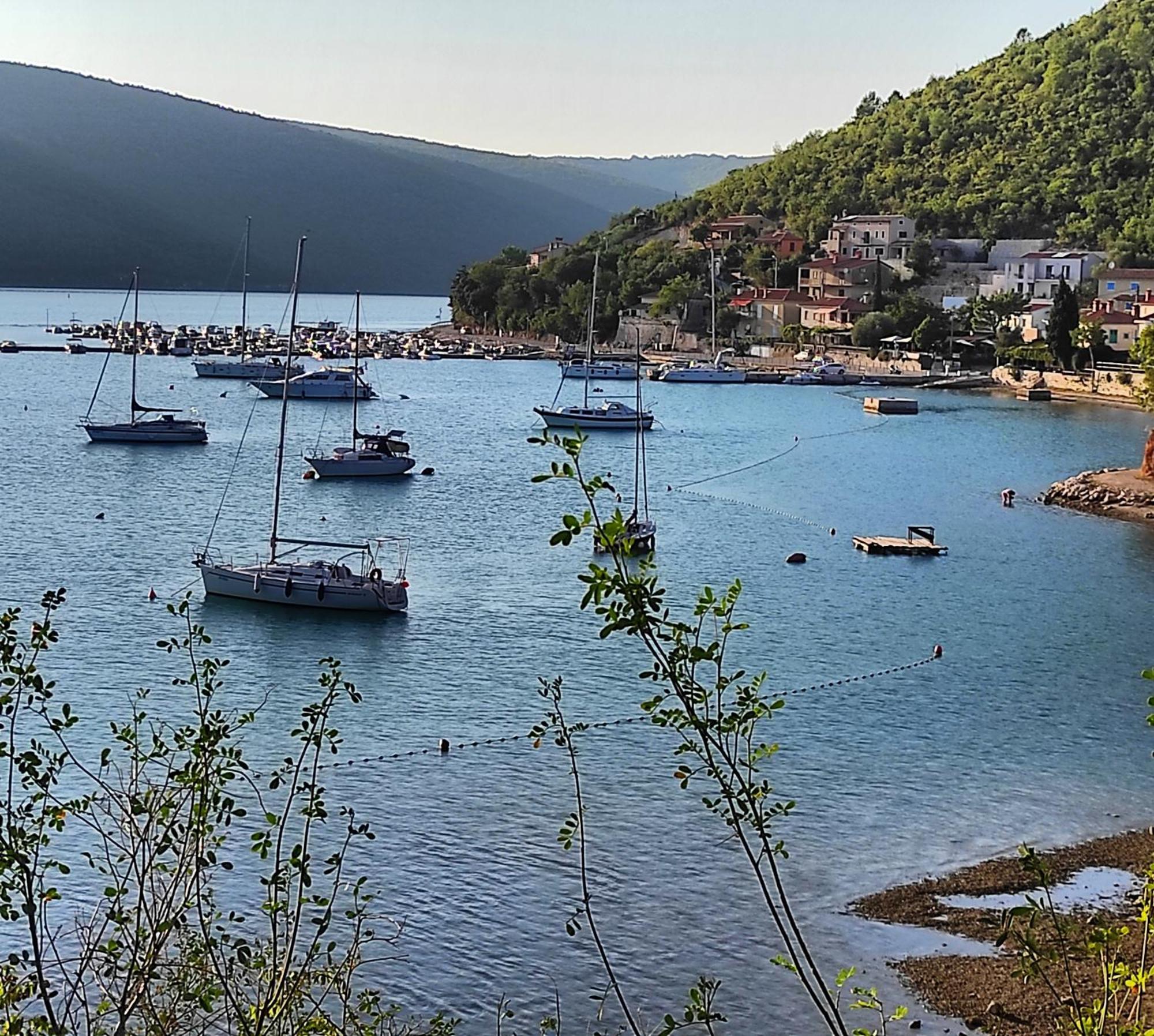 Villa Dorina Barban Dış mekan fotoğraf