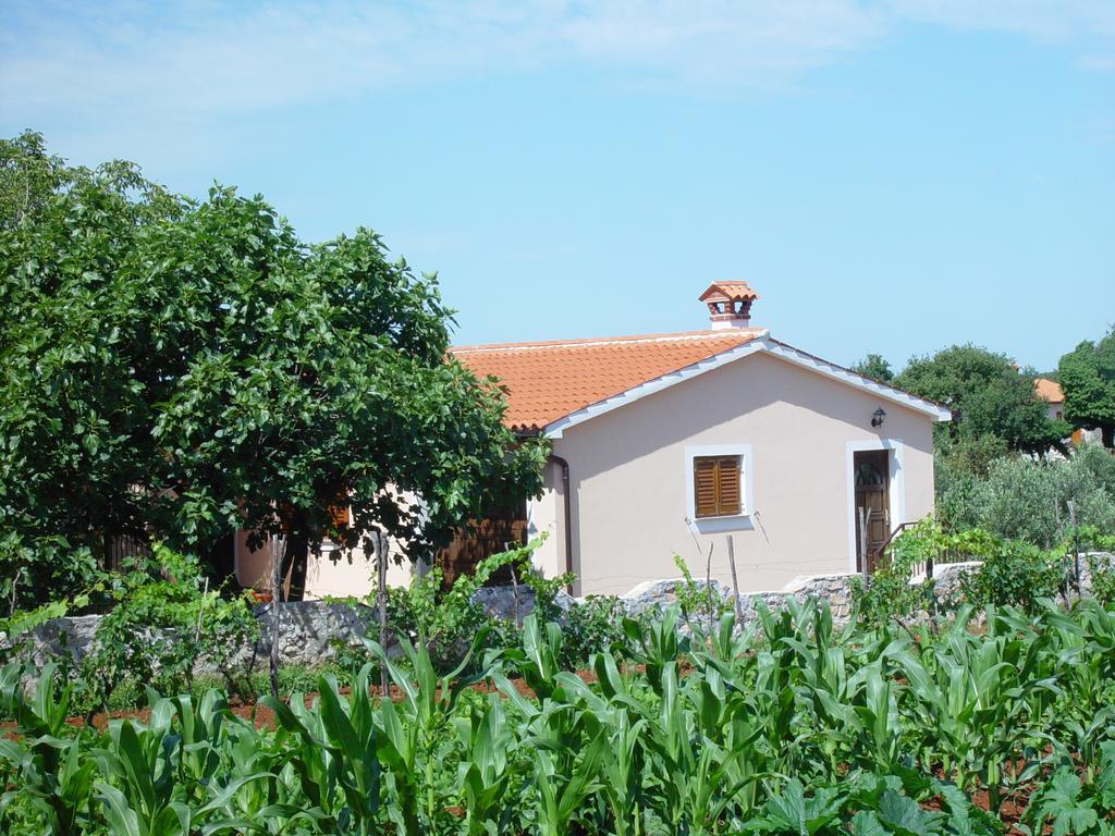 Villa Dorina Barban Oda fotoğraf